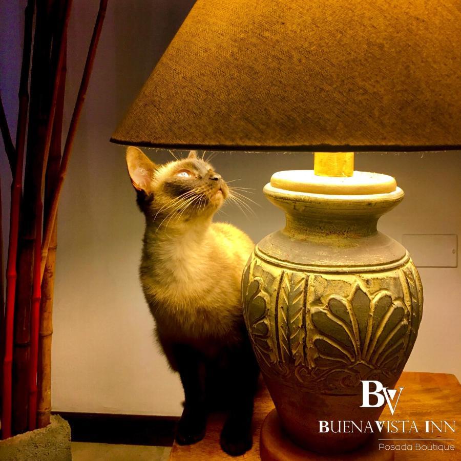 Buenavista Inn ไมเกเตีย ภายนอก รูปภาพ