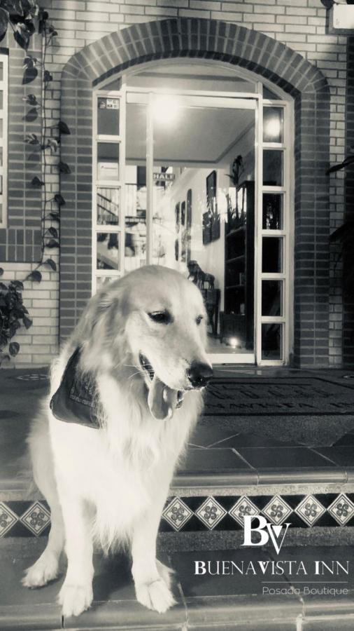 Buenavista Inn ไมเกเตีย ภายนอก รูปภาพ